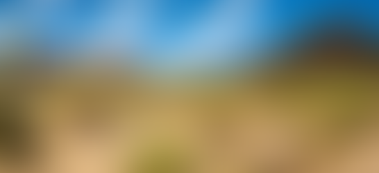 Stryker/Sawbones Surgical Training Lab; Phoenix, Arizona