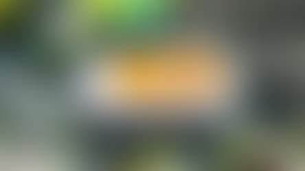 NYC Inauguration Flipper Zero Ban: Analyzing the 2026 Security List