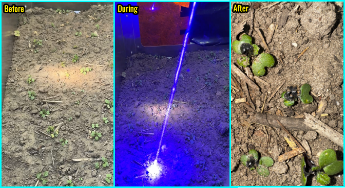 AI and deep learning for sub-millimeter weed identification