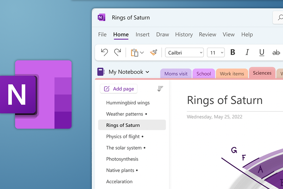 3. Microsoft OneNote