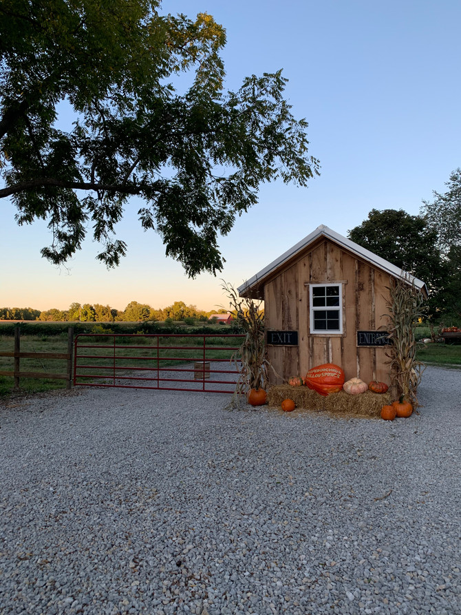U-Pick Apples SOLD OUT Sunday, Sept. 20th