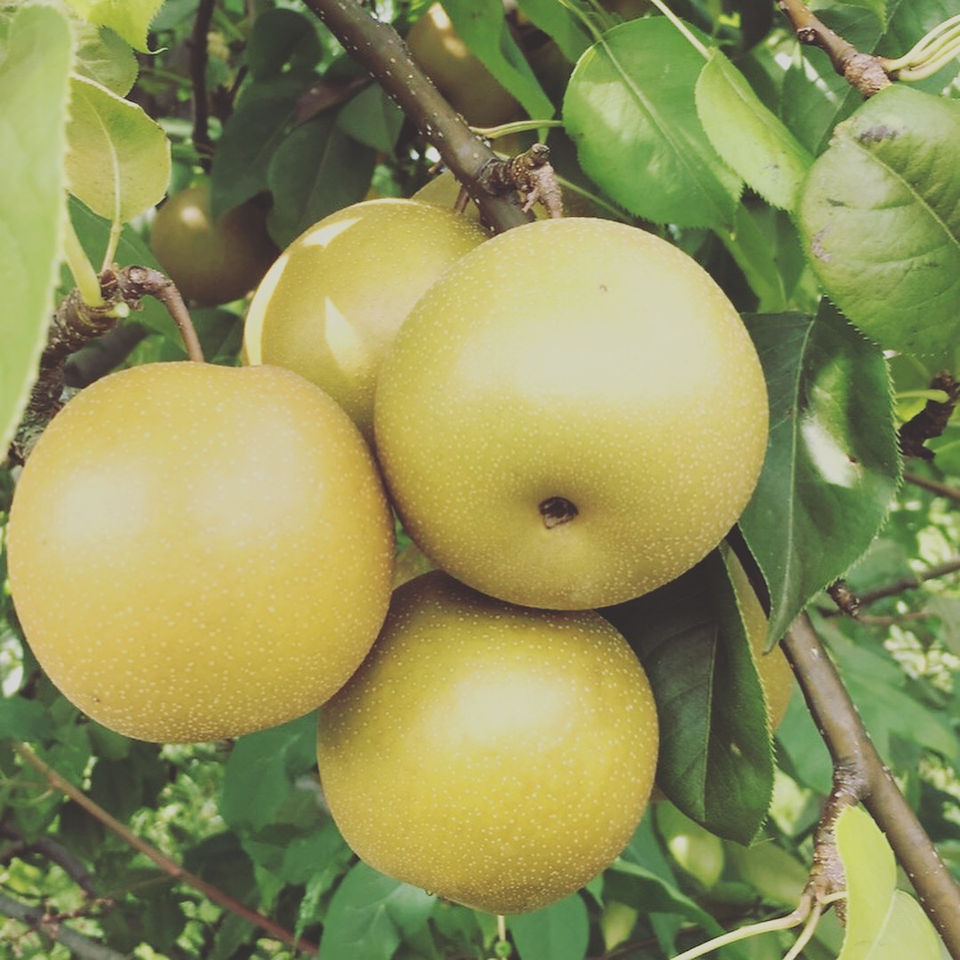 IMG_1713