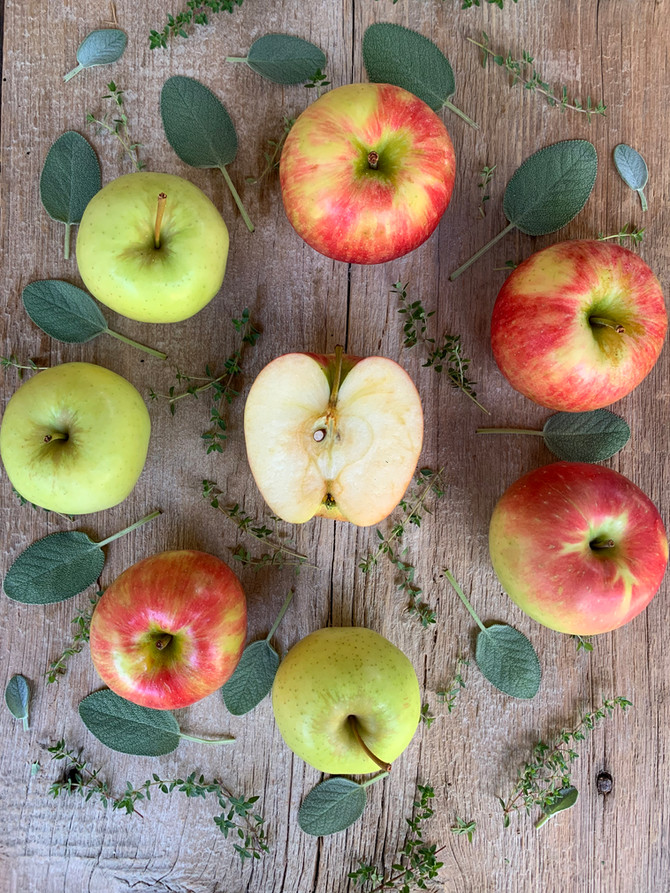 Crop Report: Honeycrisp Apples