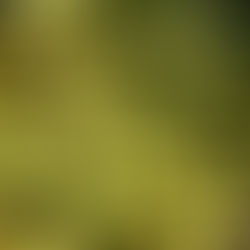 Market closing soon!