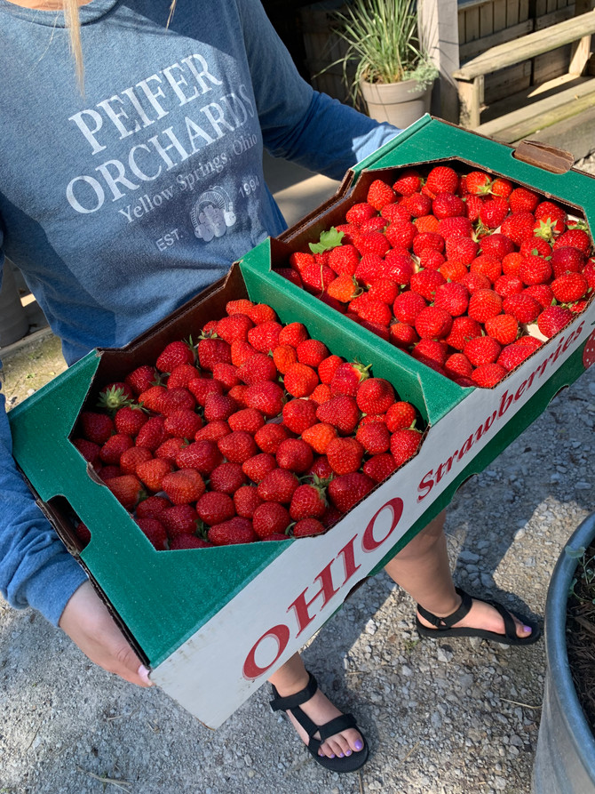 Crop Report: Farm Fresh Strawberries