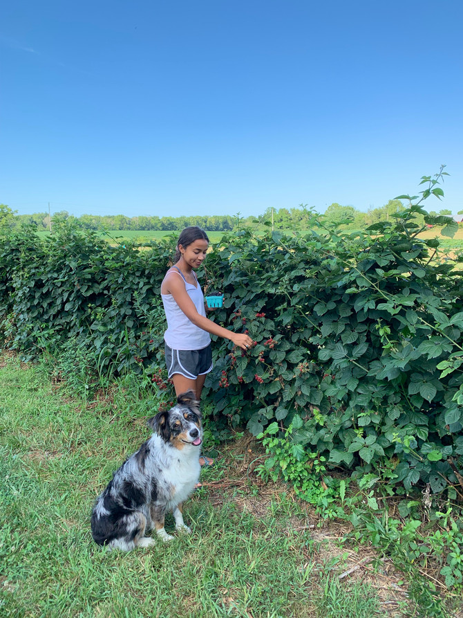 Crop Report: First Taste of Fall