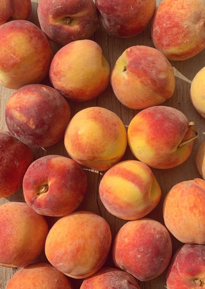 Crop Report: Red Haven Peaches