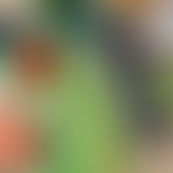 Crop Report: Farm Market Weekend!