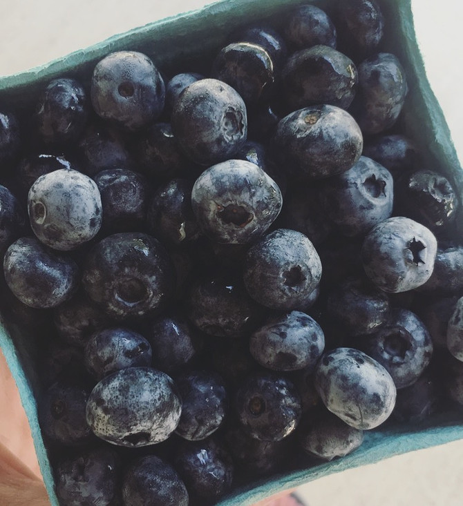 Crop Report: Back to School Snacks