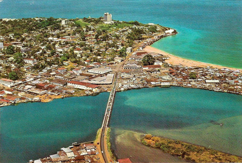 Wide-angle view of Monrovia cityscape with coastal background