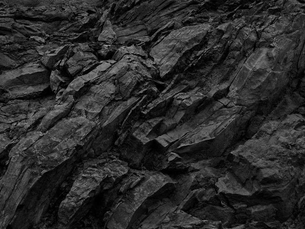 AdobeStock_310360177.jpeg