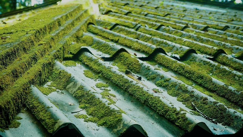 ree