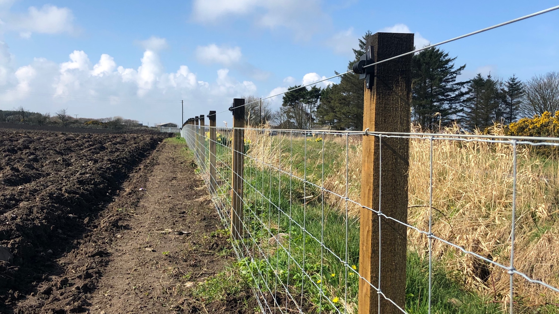 Electrical Fencing Material Lee Hampton Fencing Ltd Scotland