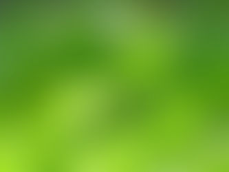 お盆の休診について