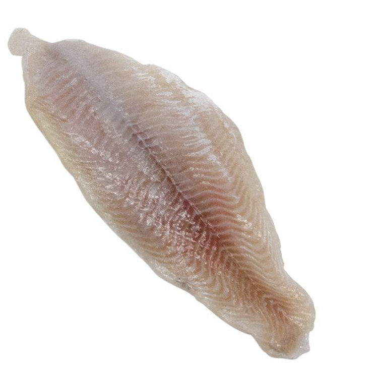 Catfish, Fresh Water