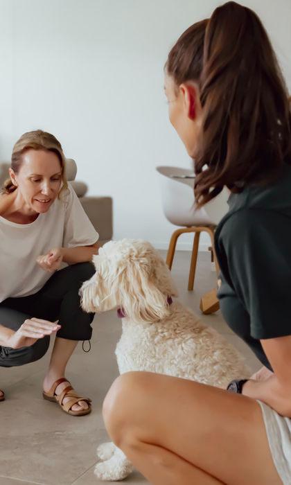 Dog trainer coaching an owner through a private dog training lesson on the Sunshine Coast.