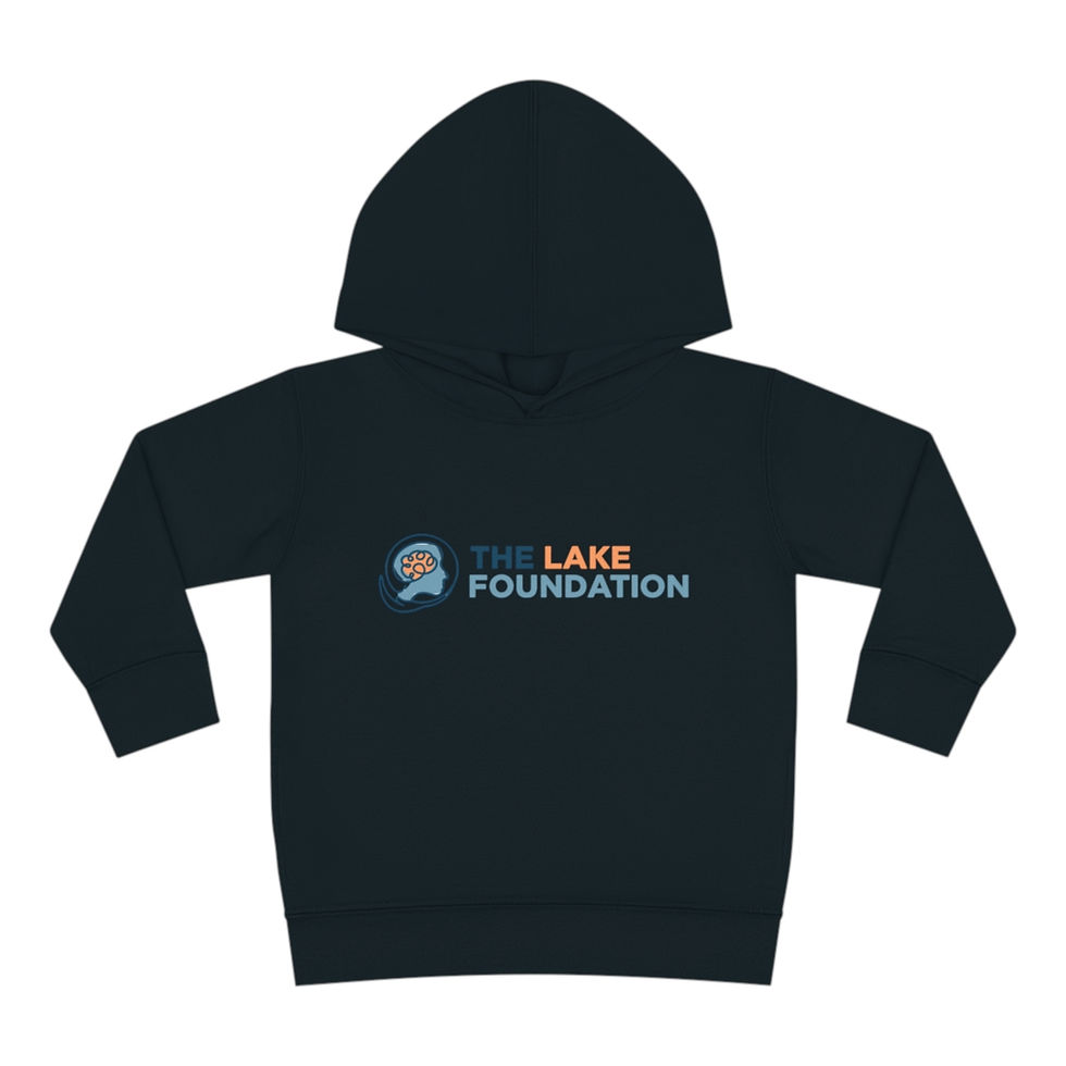 Thumbnail: Color Logo - Toddler Pullover Fleece Hoodie