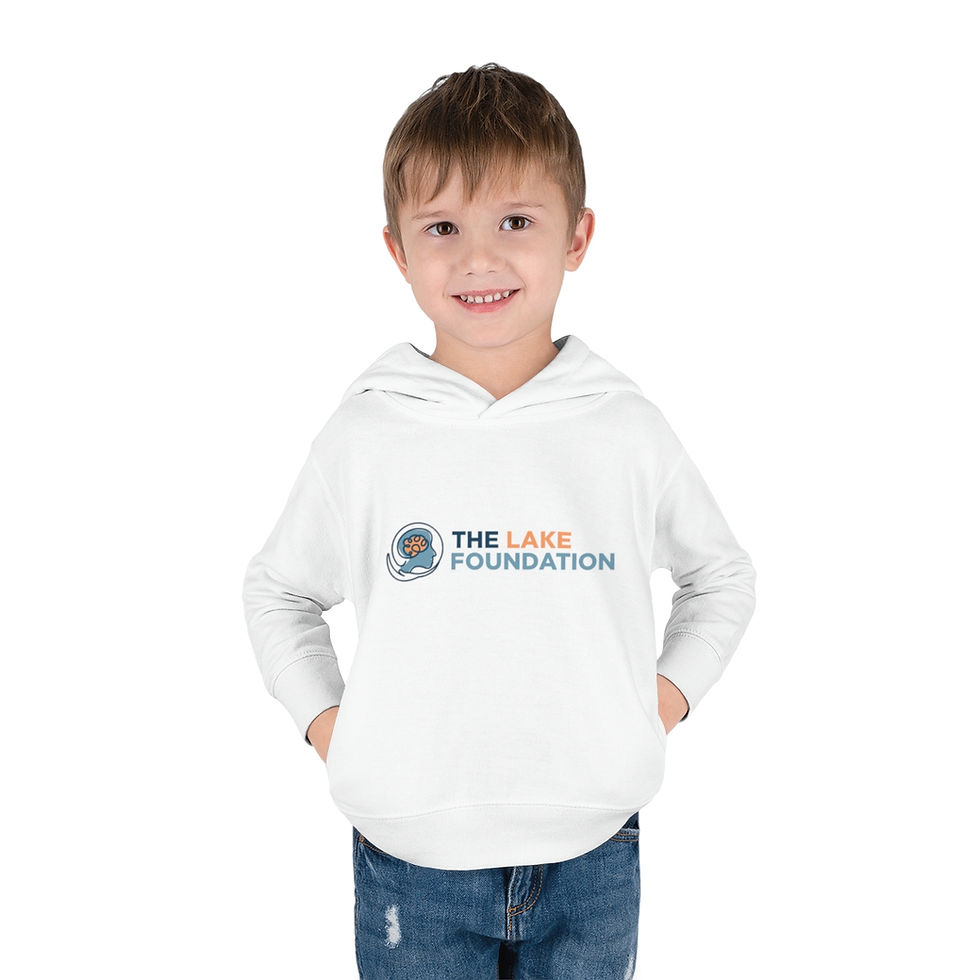 Thumbnail: Color Logo - Toddler Pullover Fleece Hoodie