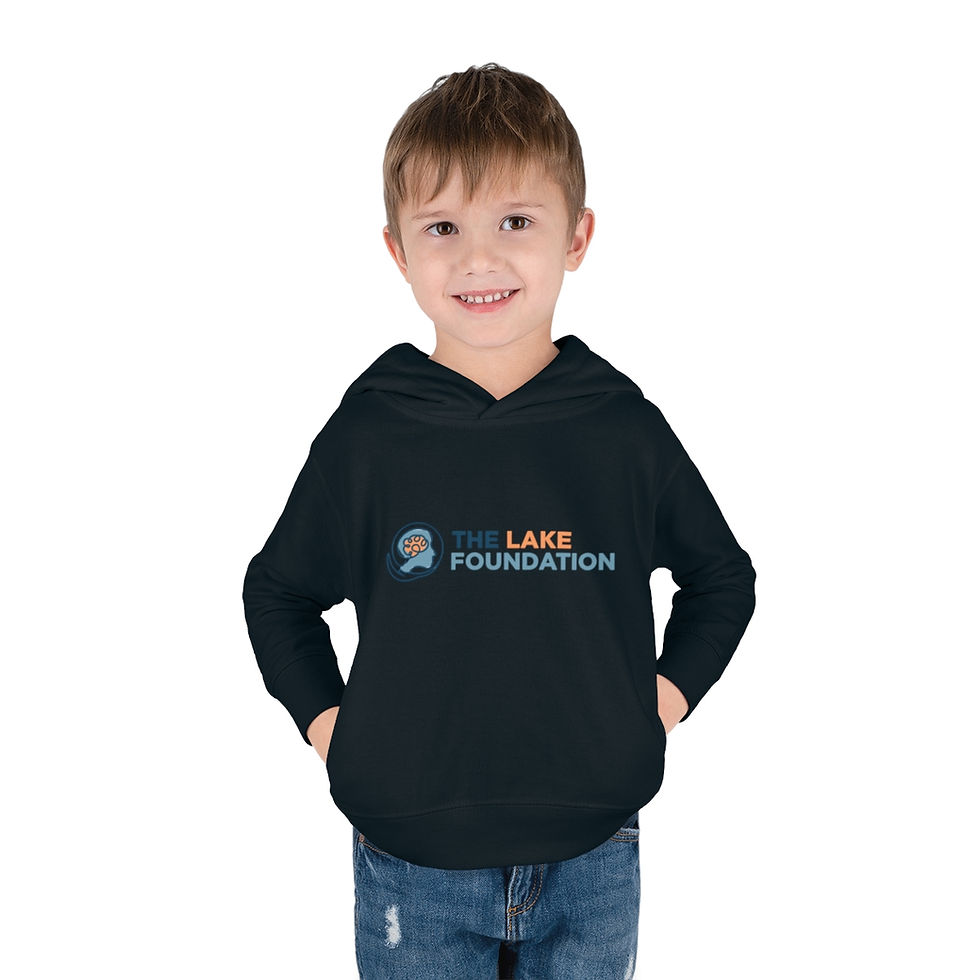 Thumbnail: Color Logo - Toddler Pullover Fleece Hoodie