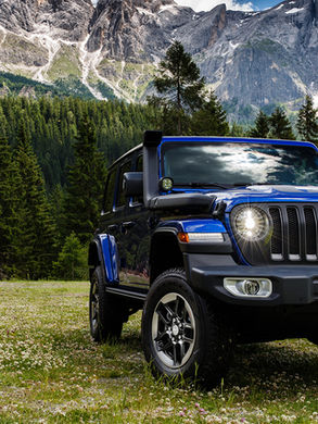 jeep e caminhão haizer usa (78).jpg