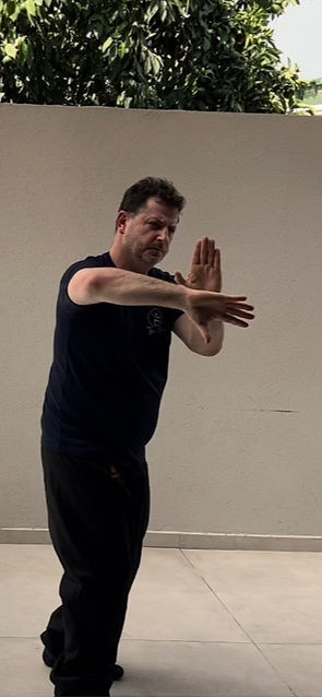 the best online tai chi program