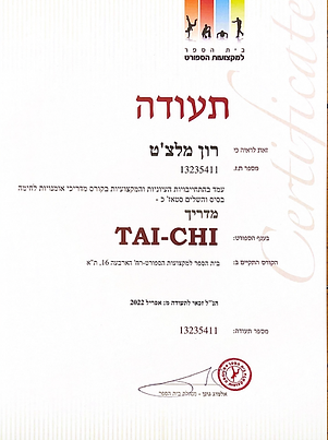 ron-melchet-tai-chi-instructor-ministry-of-culture-and-sport-israel.jpg .png