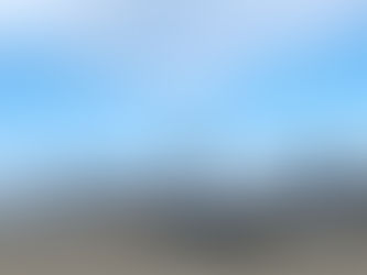 The Air Self-Defense Force's F-15 J