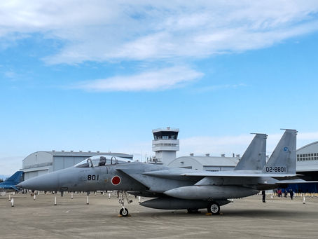 The Air Self-Defense Force's F-15 J