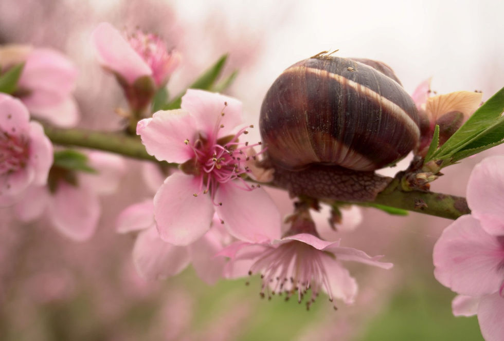 Διάκριση: Ιωάννης Δεληγιώργης