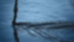 DelightfulKindGoral-size_restricted.gif