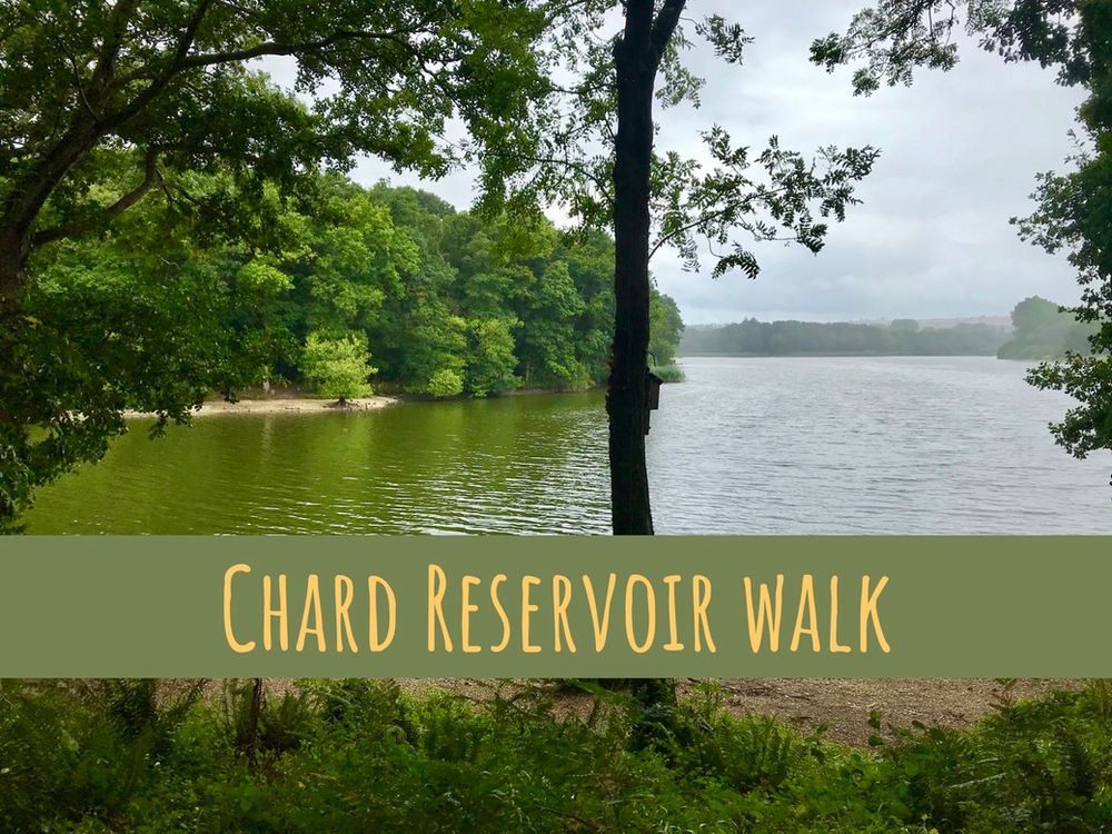 Chard Reservoir woodland lake walk