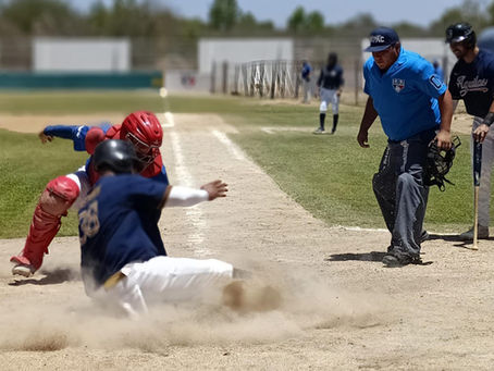 Medio siglo de pasión: La Liga JAPAC celebra 50 años como el corazón del béisbol en Culiacán