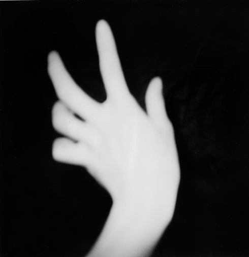 Robin-Nissen-Chysalide-main-pola.JPG