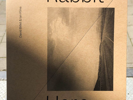 Rabbit / Hare by David Billet & Ian Kline