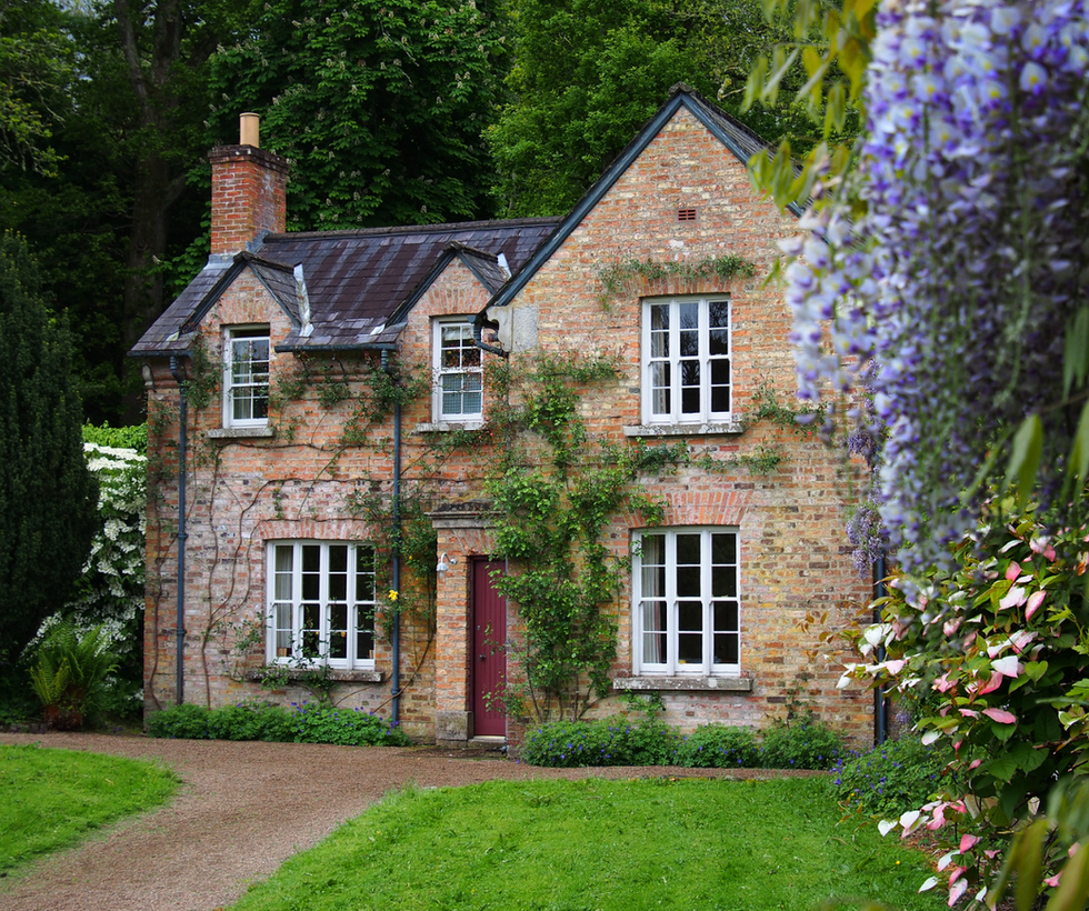 Sentimental Sanctuary Project