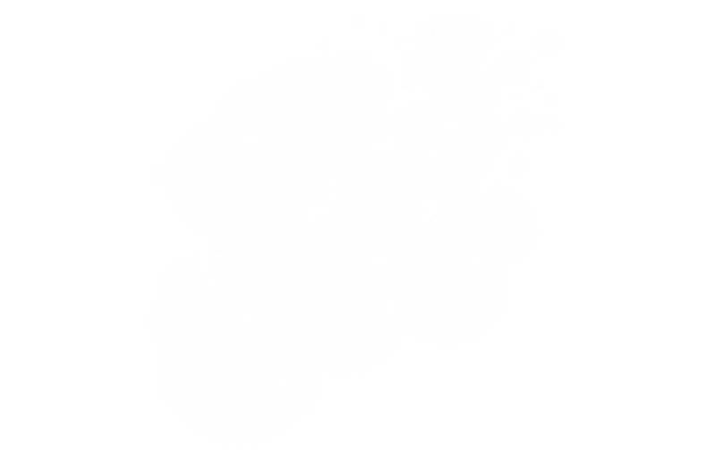 Untitled design (1).png