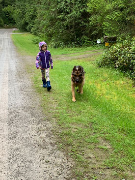 girl and dog walking