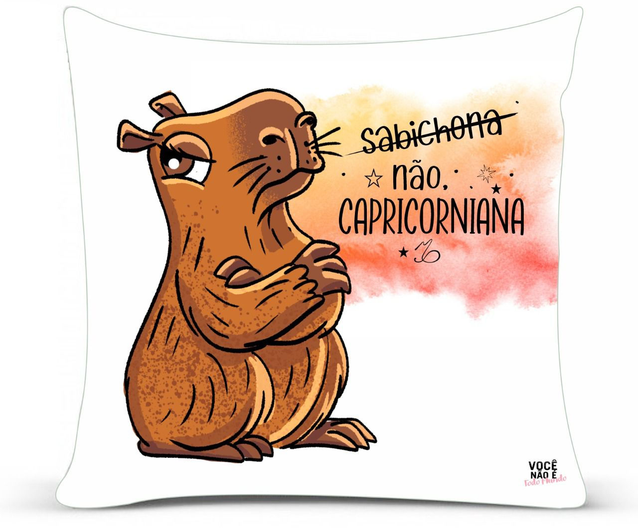 Almofada capivara signo capricórnio