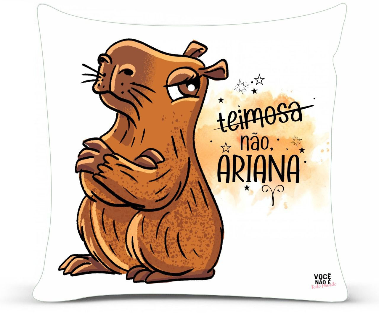 Almofada capivara signo áries