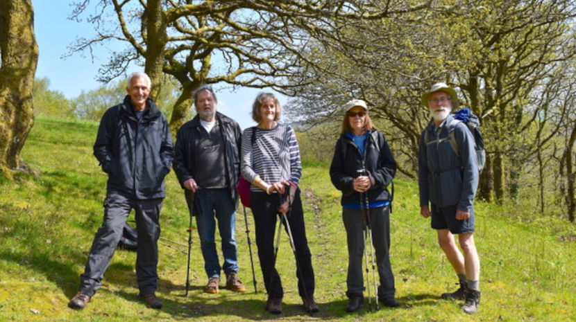 u3a walkers