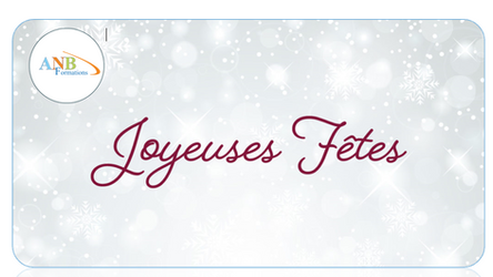 ANB FORMATIONS VOUS SOUHAITE DE BELLES FETES DE FIN D'ANNEE