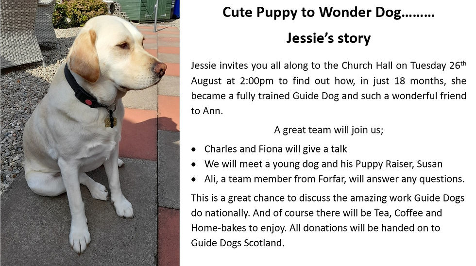 Jesssie.jpg