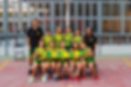 07.0-MINI VERD F