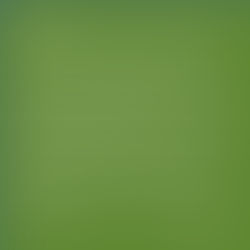 Cleavers - Goosegrass, Sticky Willie, Galium Aparine