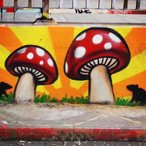 Urban Mushroom Hunting
