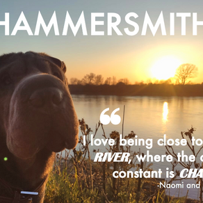 WEST: Naomi, Fulham Reach, Hammersmith