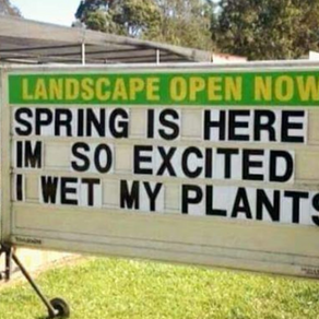 I like big butts and I cannot lie (or how to save water)