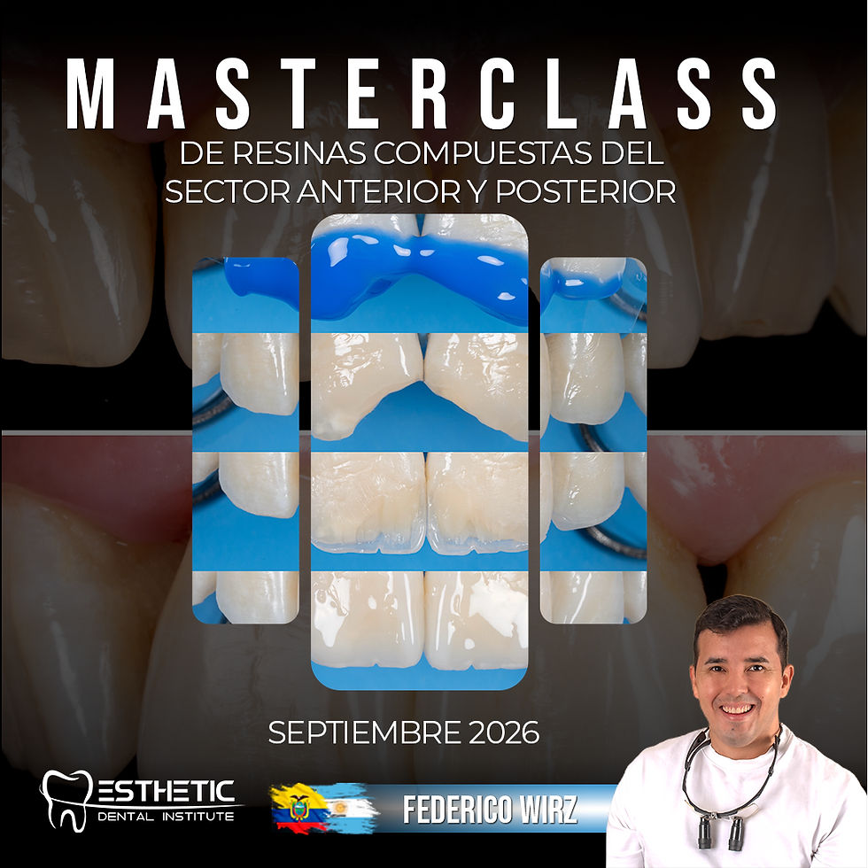 Masterclass Resinas Compuestas. Sector Anterior y Posterior