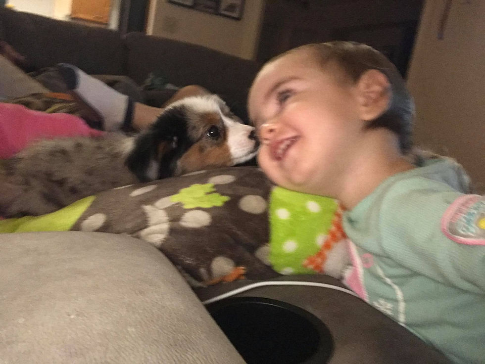 ree