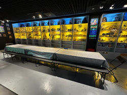 laserball de courbevoie centre commercial de charras